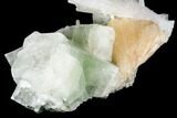 Scolecite Crystal Spray with Apophyllite and Stilbite - India #177524-4